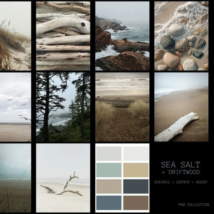 SEA_SALT_DRIFTWOOD_MOOD_BOARD